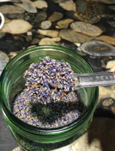 lavender-uses